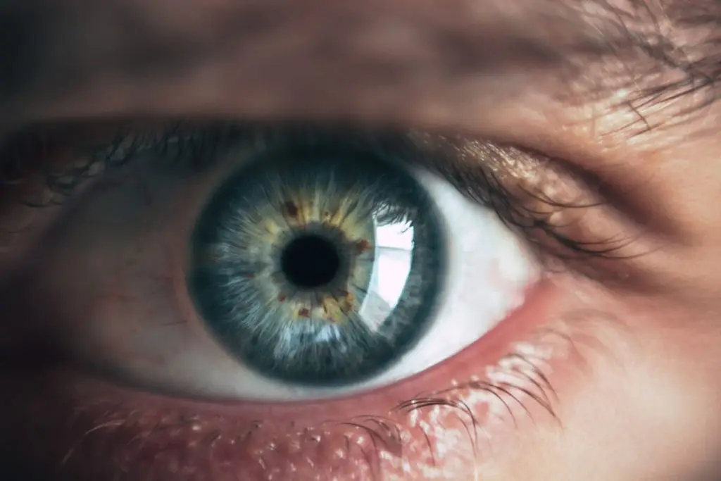 Auge fokussiert