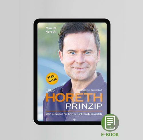 Das Horeth Prinzip E-Book
